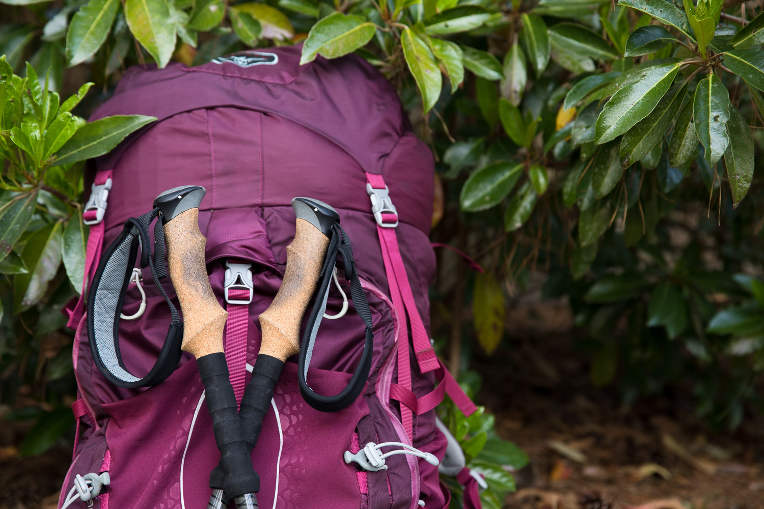Backpacking Tips and Lessons Learned from a Newbie — The Restless Wild